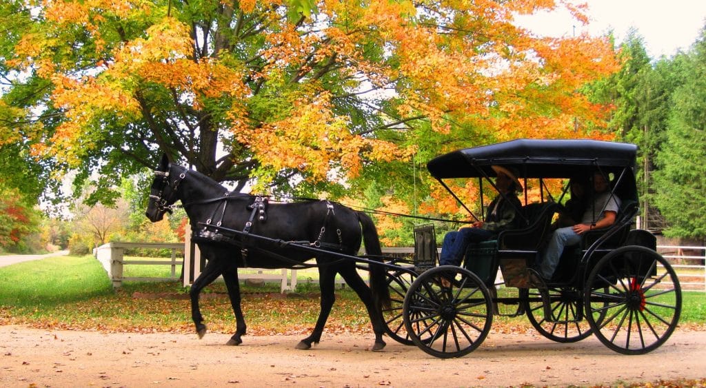 Romantic Carriage Rides